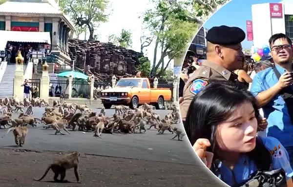 少了中国游客，整个旅游生态圈都乱了！