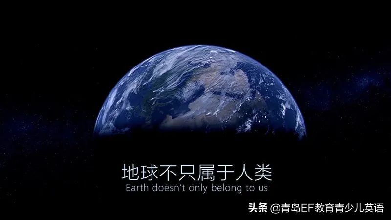 人类与动物的正确相处方式,为野生动物向人类发声