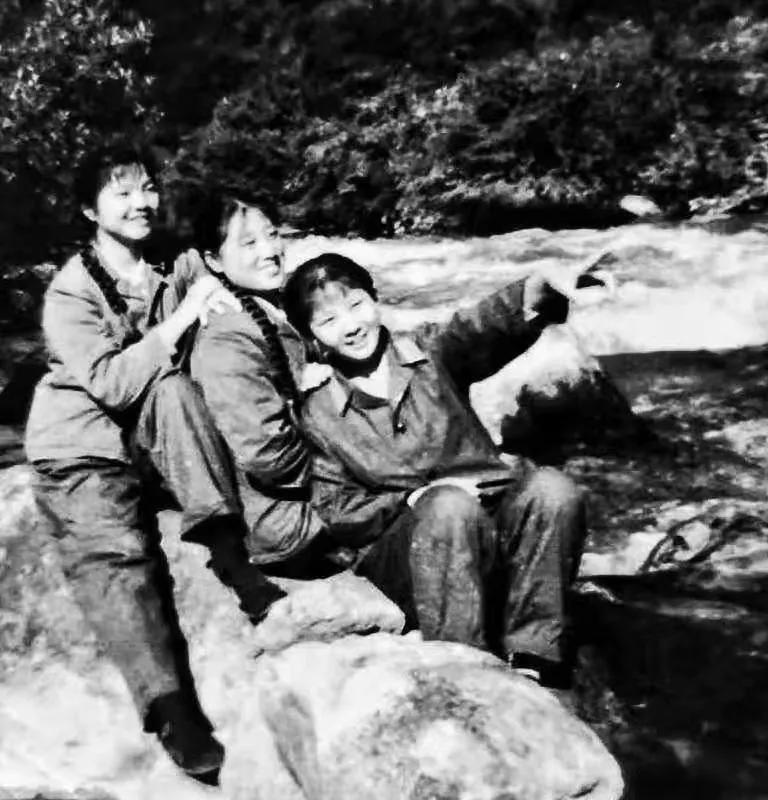 在*藏西**，我们的第三*战野**医院，我们的芳华……
