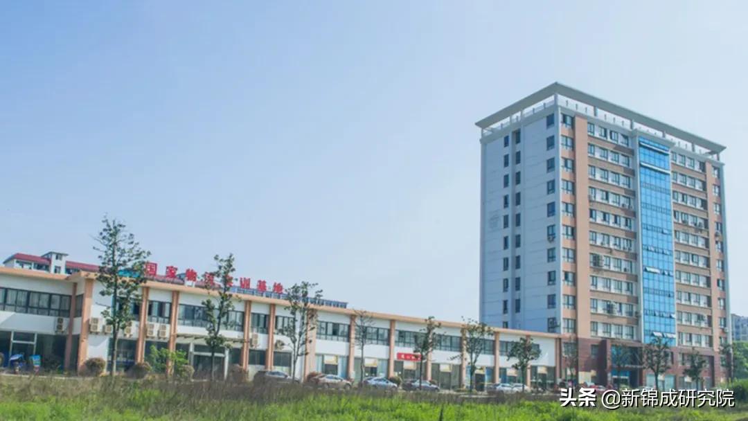 新锦成就业,新锦成就业指导答案
