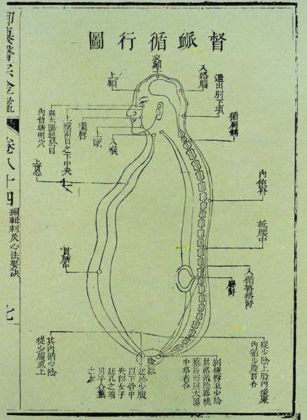 督脉“合篡间,绕篡后”是什么意思?