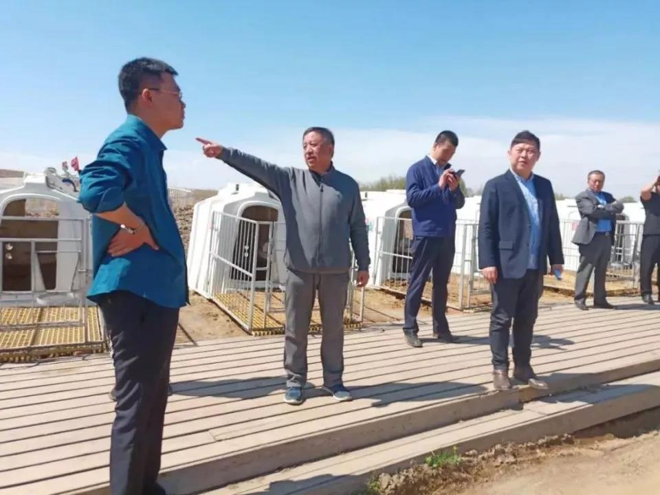 红星林海雪原鲜牛奶,红星林海雪原牛奶怎么样