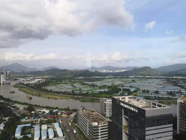 娃哈哈宗馥莉怎么评价王力宏 (娃哈哈集团宗馥莉和王力宏)