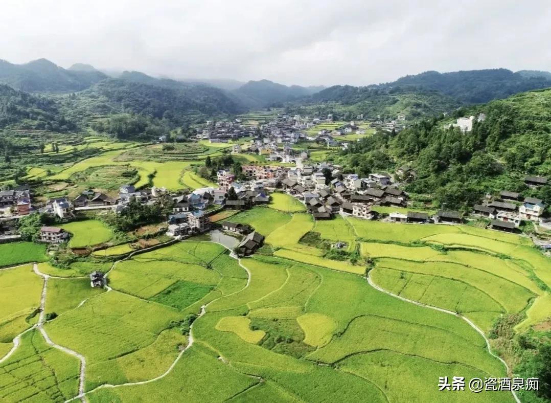 东北农民为什么种地不赚钱,农村种植业的现状及存在的问题