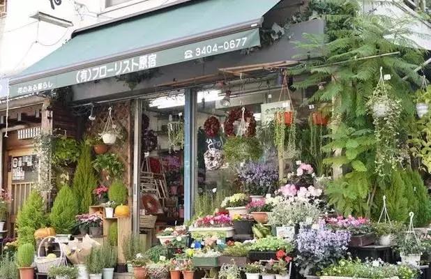 花店真的赚钱吗,为什么花店亏损那么多