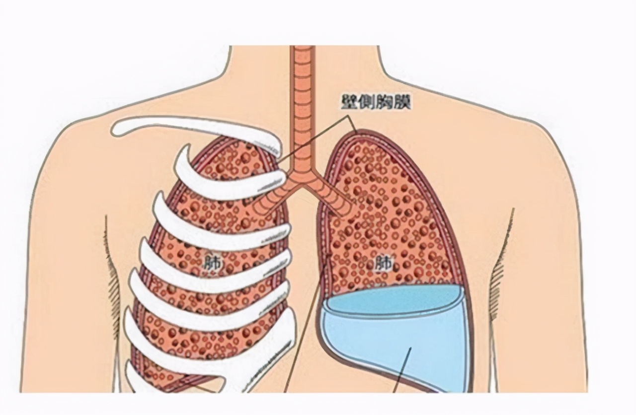 乳腺癌切除后还会得其它癌吗,乳腺癌术后并发症的护理及预防