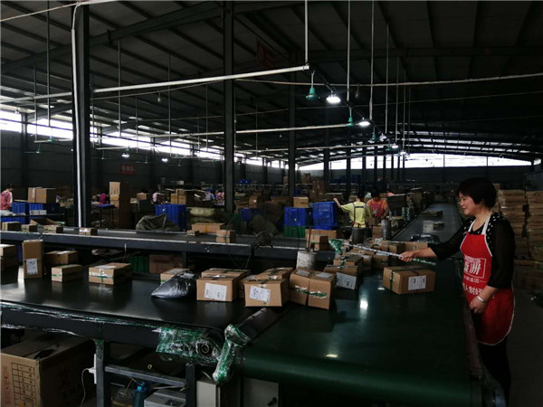 出口暴涨50%，产量占全球八成的南阳艾草却遭千万元专利索赔