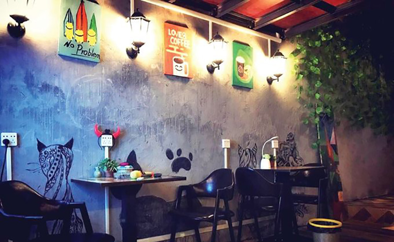 当代大学生如何看待创业创新问题,对于大众创新万众创业你怎么看