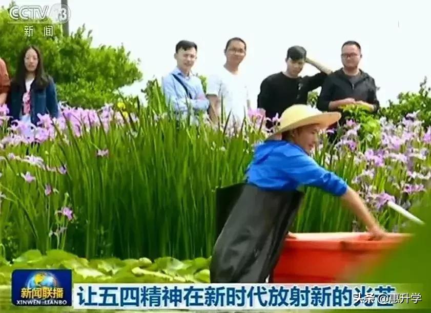 理工可以报艺术综合类的吗,中国最文艺的理工大学