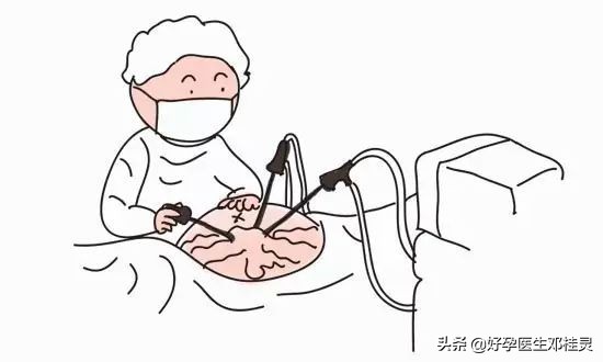 备孕医学科普试管移植,备孕医生为什么讲要调理三个月