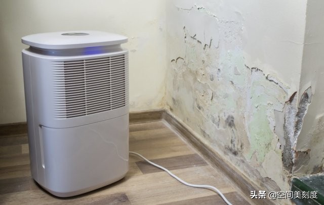 墙上顽固的霉菌怎么处理,怎么清除霉菌生活小妙招