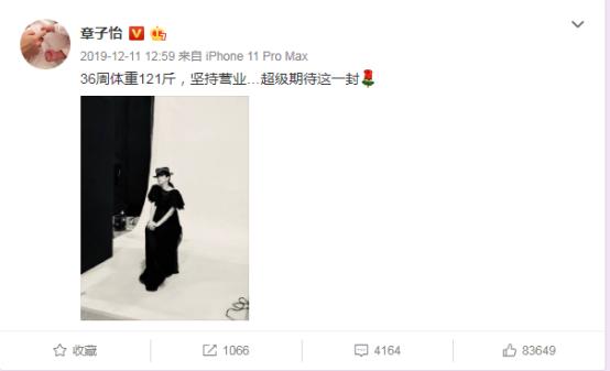 章子怡二胎孕肚写真曝光,章子怡产前写真曝光孕味十足