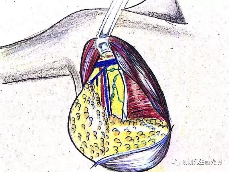 最贵的房子内部图片,最贵的房子内部