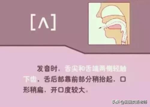 基础英语48个国际音标详解，赶紧来领会！