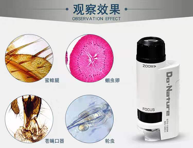 香港美女生物学家：破译人体大脑密码，让老年痴呆症治疗成为可能