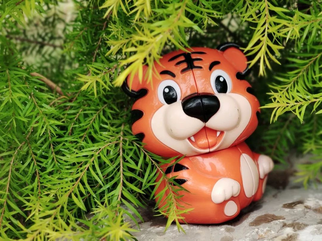 学魔方如何变得更快,三阶魔方超详细提速教程第05讲