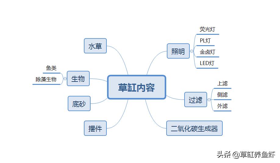 草缸新手入门需要准备什么设备,玩草缸怎么玩