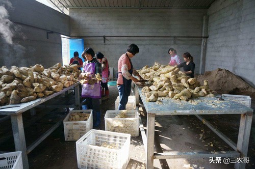 农民致富小本创业项目,适合30岁在家创业的小本生意