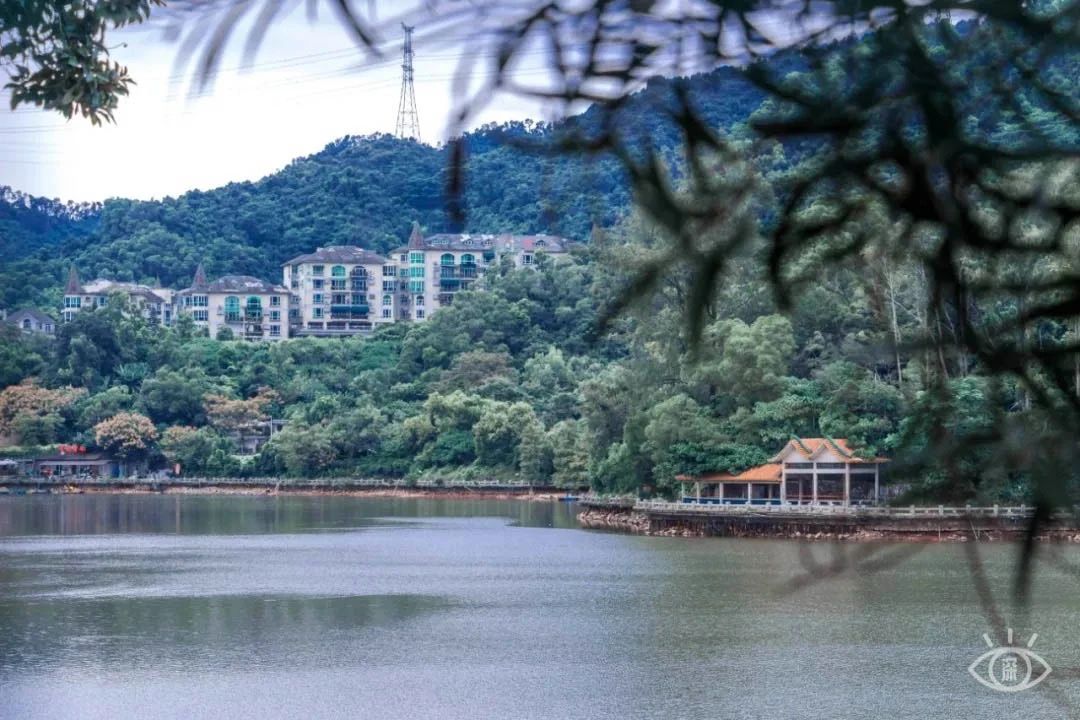 最美湖泊小众风景,最美湖泊西湖