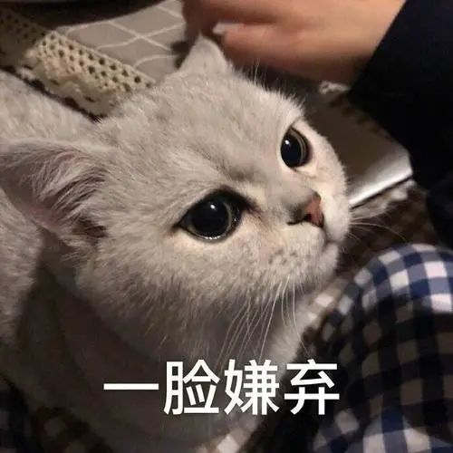 七夕适合情侣一起玩的小游戏,适合情侣情人节一起玩的游戏