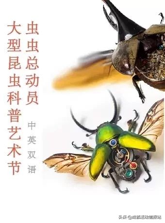 6.19活动,6.28到7.4的活动
