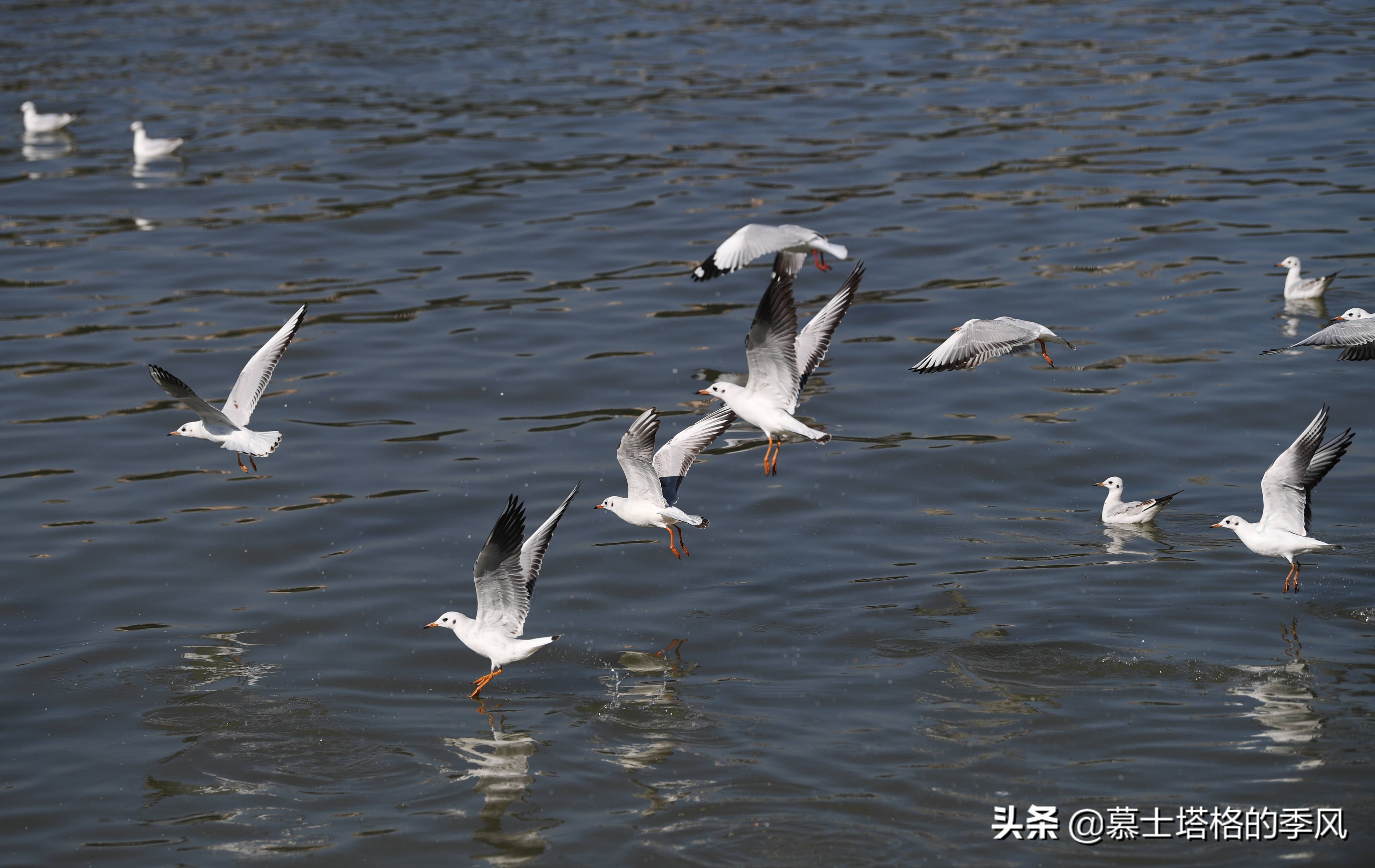 重庆火炉第一名,重庆是火炉城市么