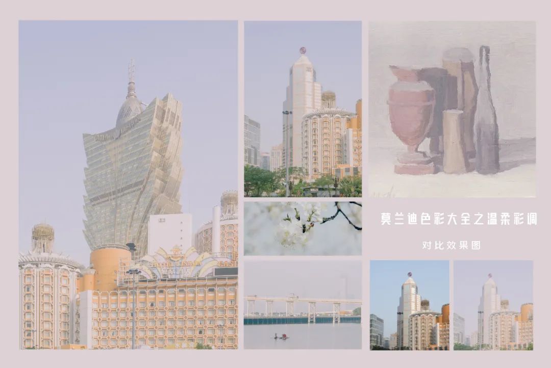 莫兰迪色绿色极致美感,莫兰迪蓝最惊艳的图