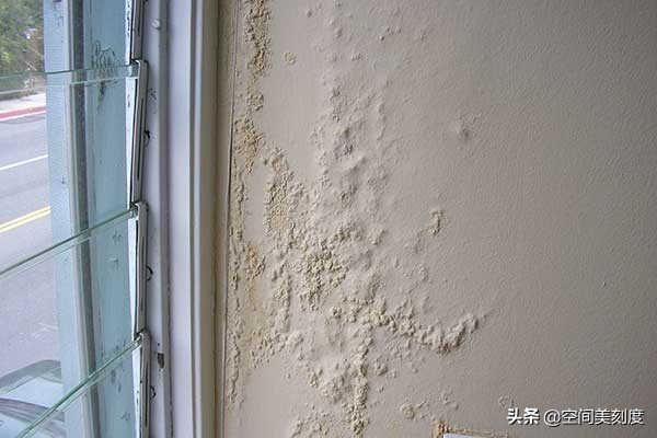 墙上顽固的霉菌怎么处理,怎么清除霉菌生活小妙招