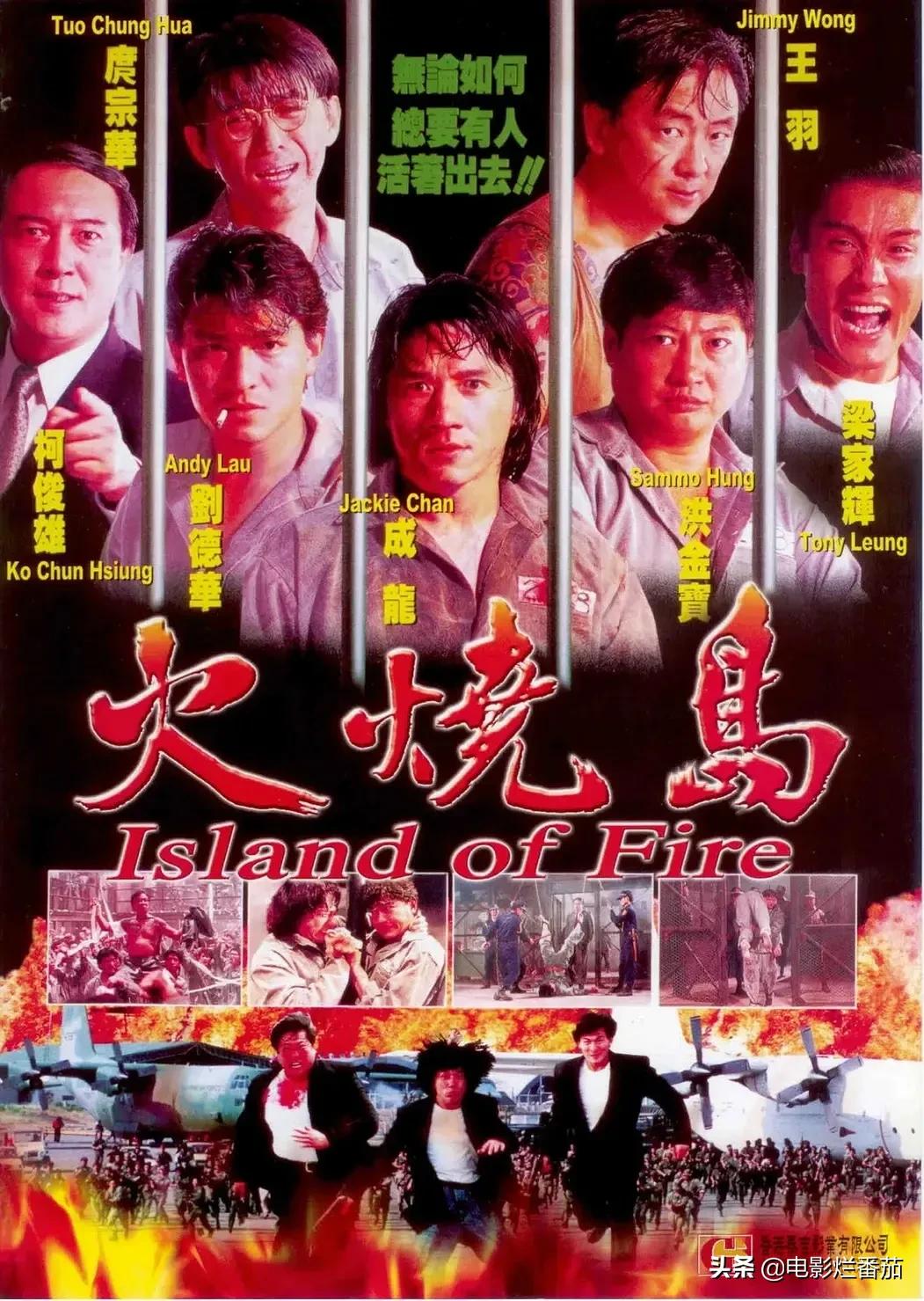 成龙元彪洪金宝刘德华全部电影,刘德华洪金宝成龙一起演的电影