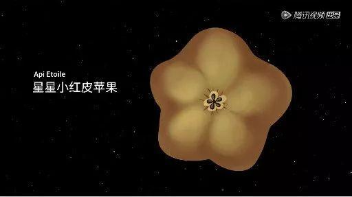 据说水果涨价，跟这剧的大火有点关系