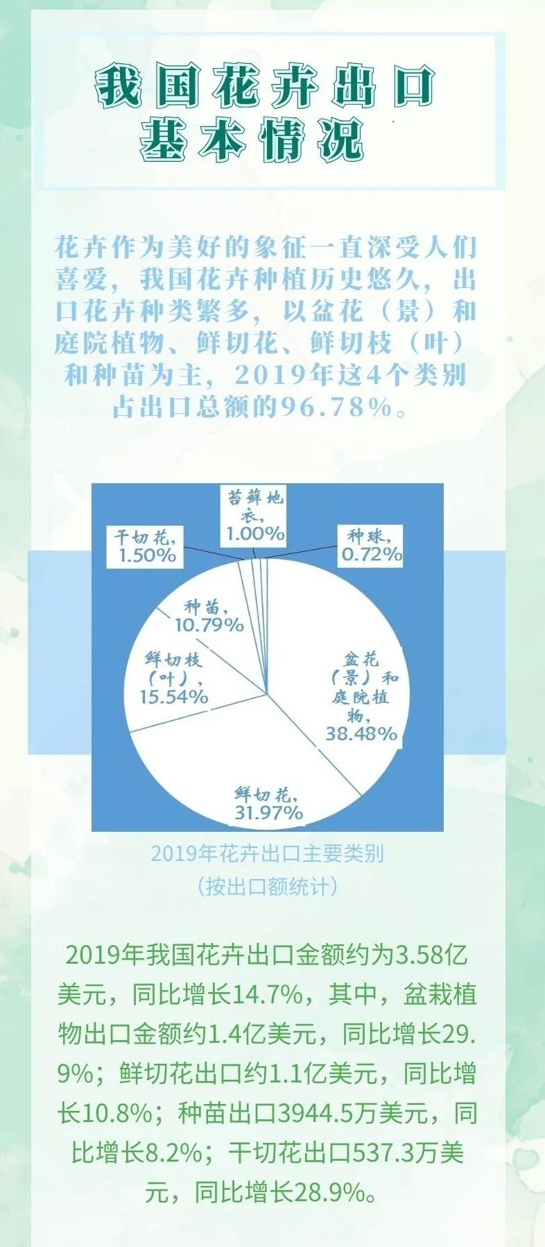 一文读懂|花卉出口指南（超全）