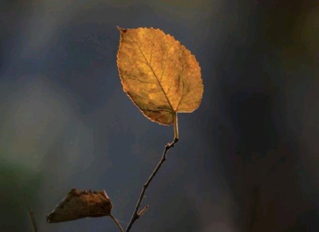 看透人心心酸的说说道尽人性冷暖,看透人心醒悟的句子说说
