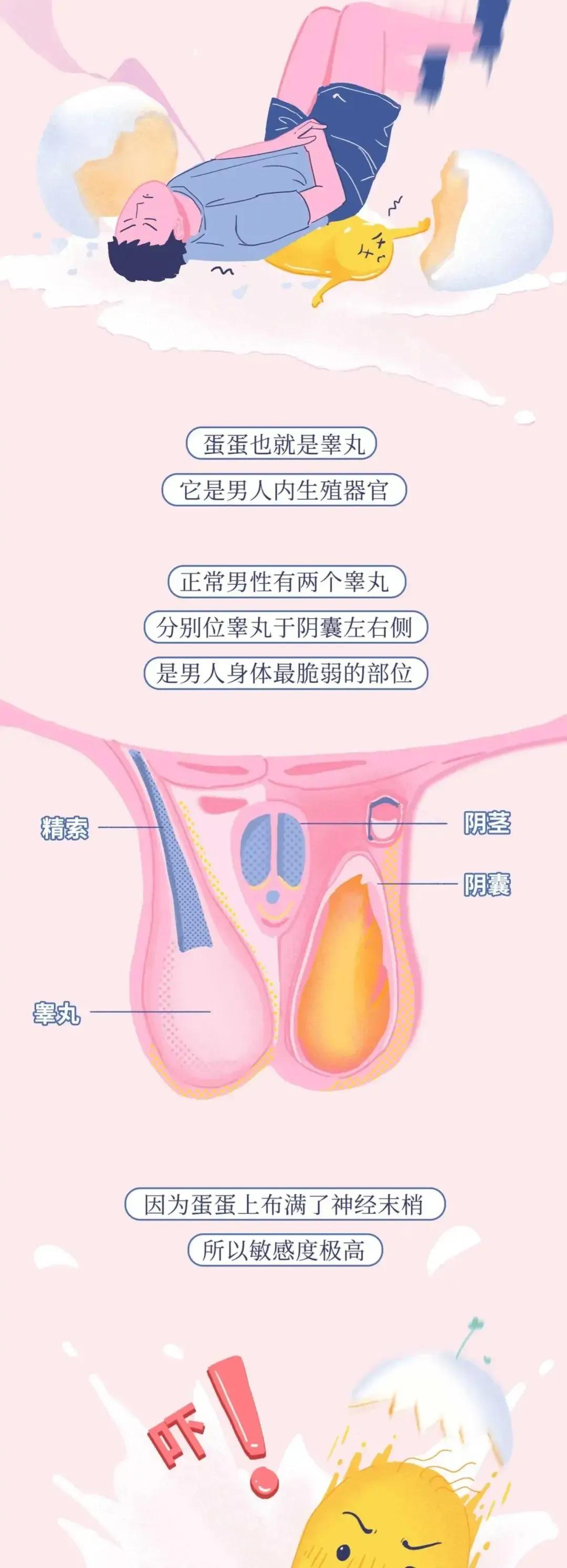 男人被踢到“裆部”，到底有多痛？一组漫画了解，没体会过的不懂