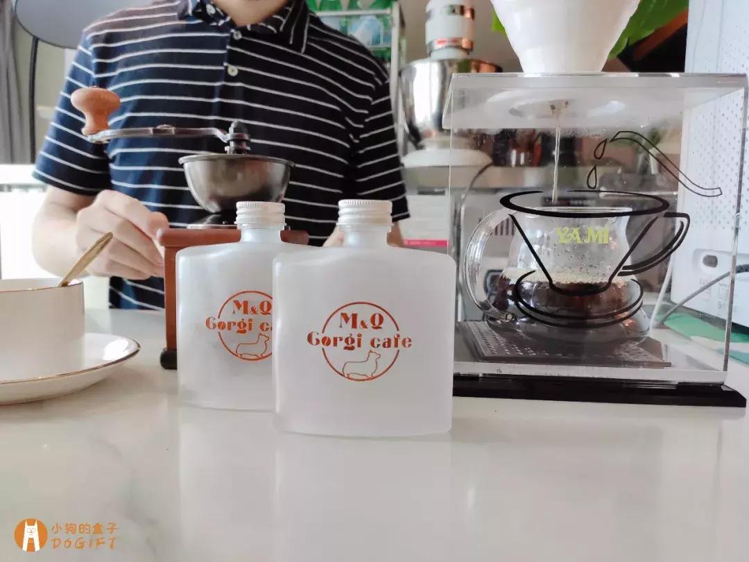 马克深圳最秀狗咖