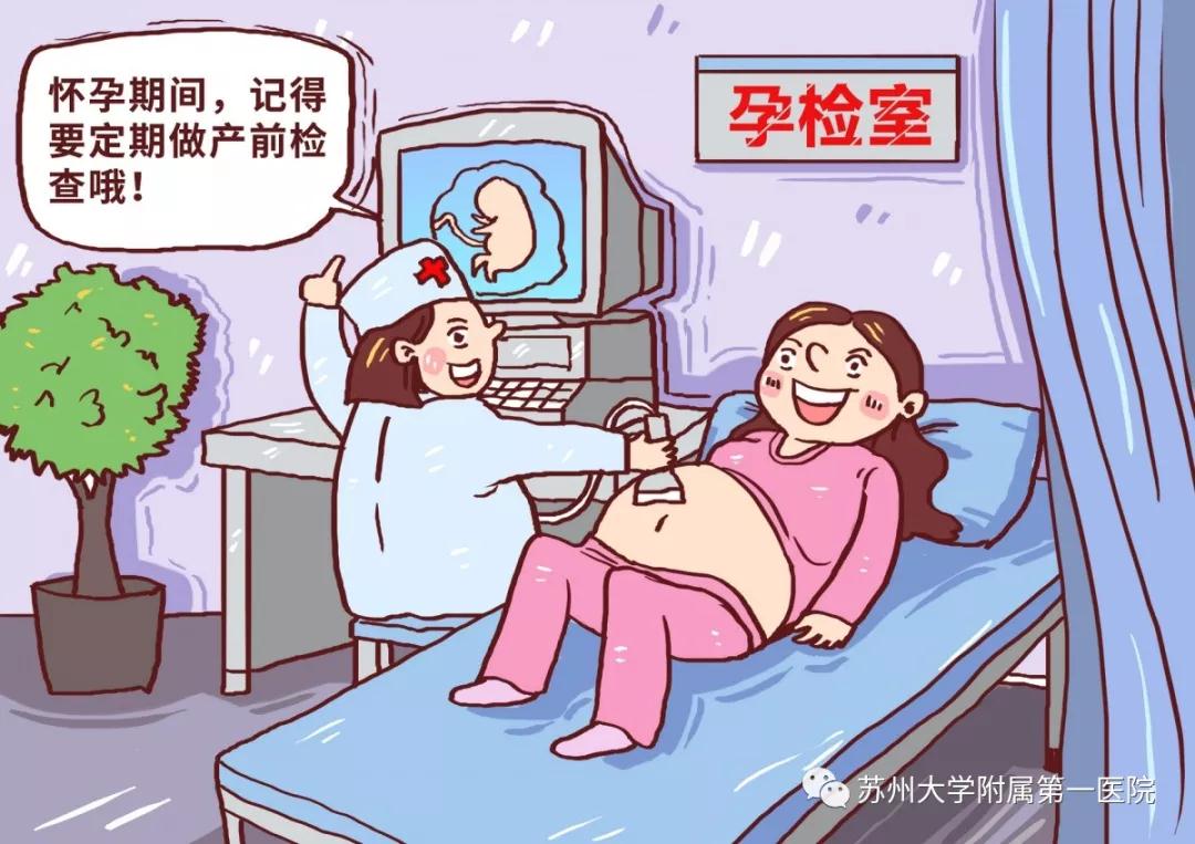收藏！孕期要做几次B超？请看这份最全孕期B超检查攻略