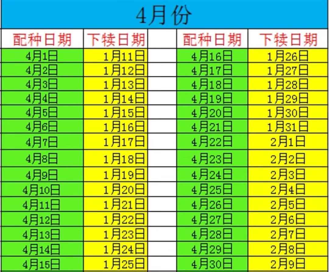 母牛下犊日历表准确吗,2022年母牛下犊时间表