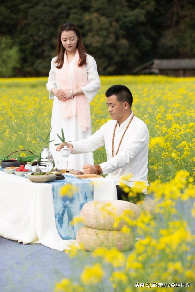 江西婺源油菜花乐曲节,婺源油菜花文化节