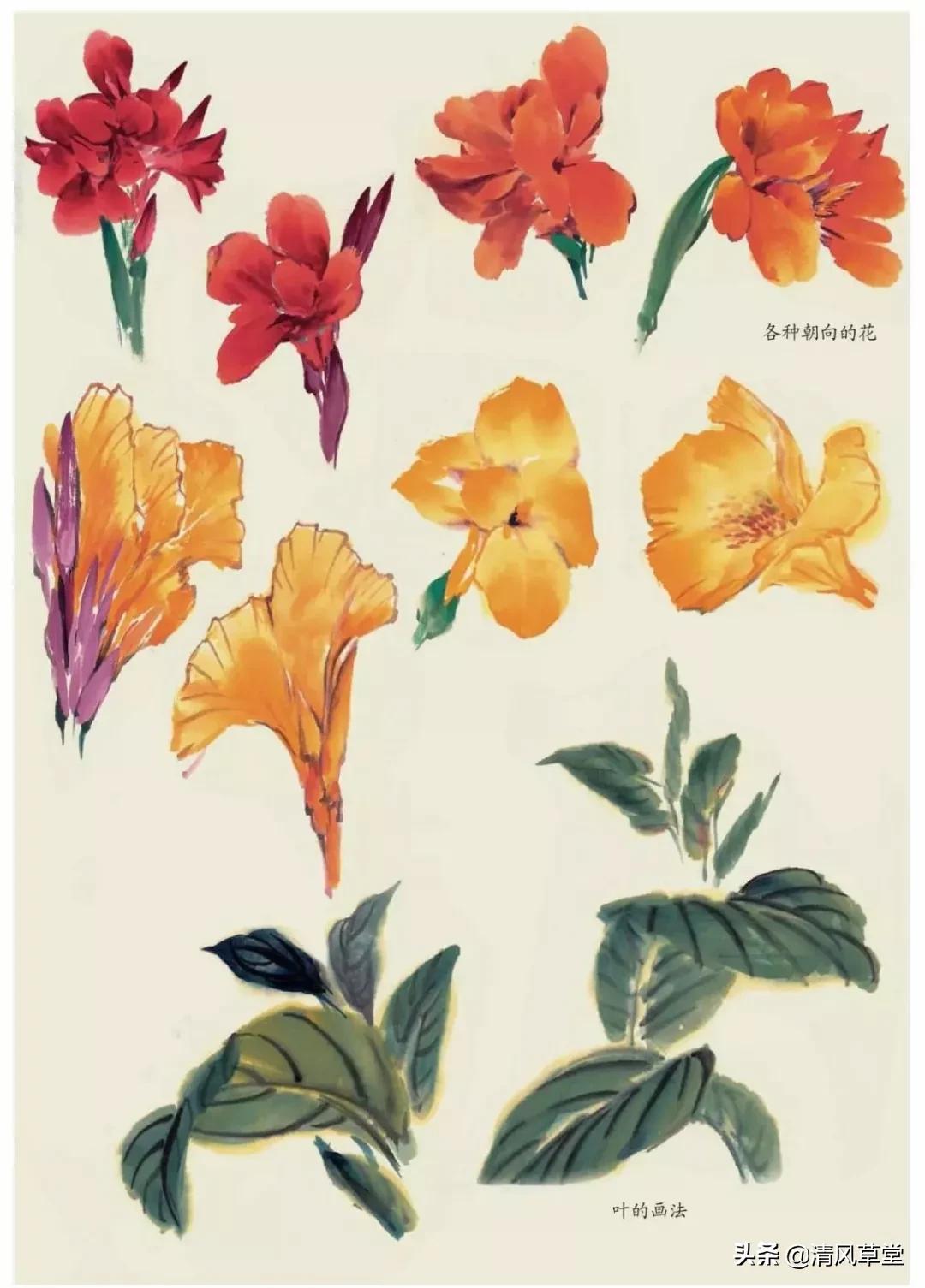 少儿国画花卉画法视频,各种花卉的100种画法