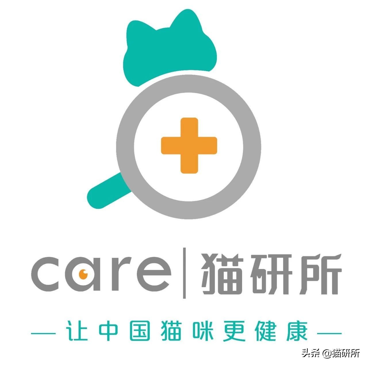 猫咪哪种打喷嚏情况需要注意,猫咪打喷嚏需要注意什么