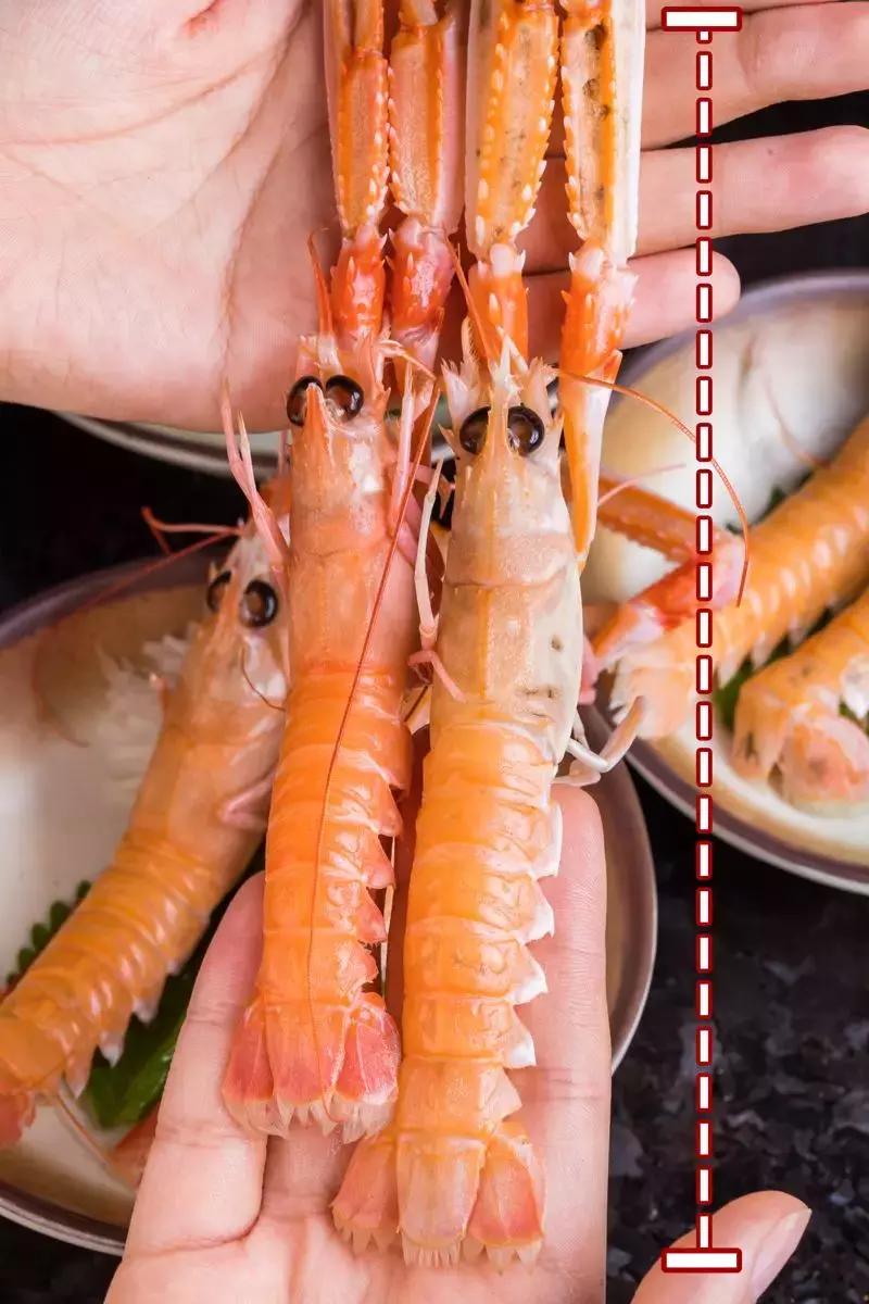 魔都高端海鲜自助,魔都必吃20家海鲜自助餐厅