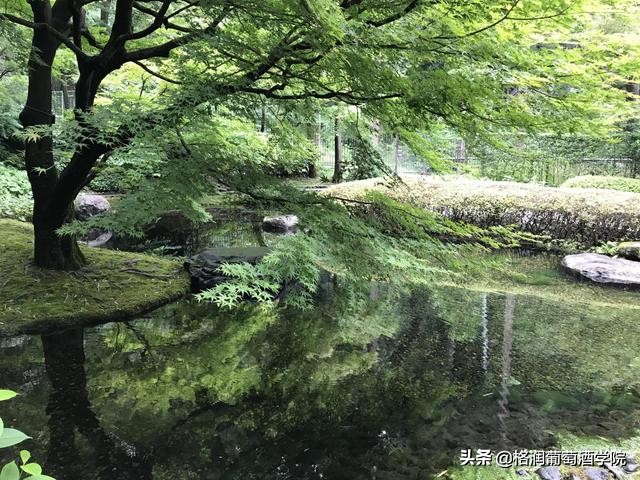 山崎威士忌官方网站,山崎威士忌辨别真伪