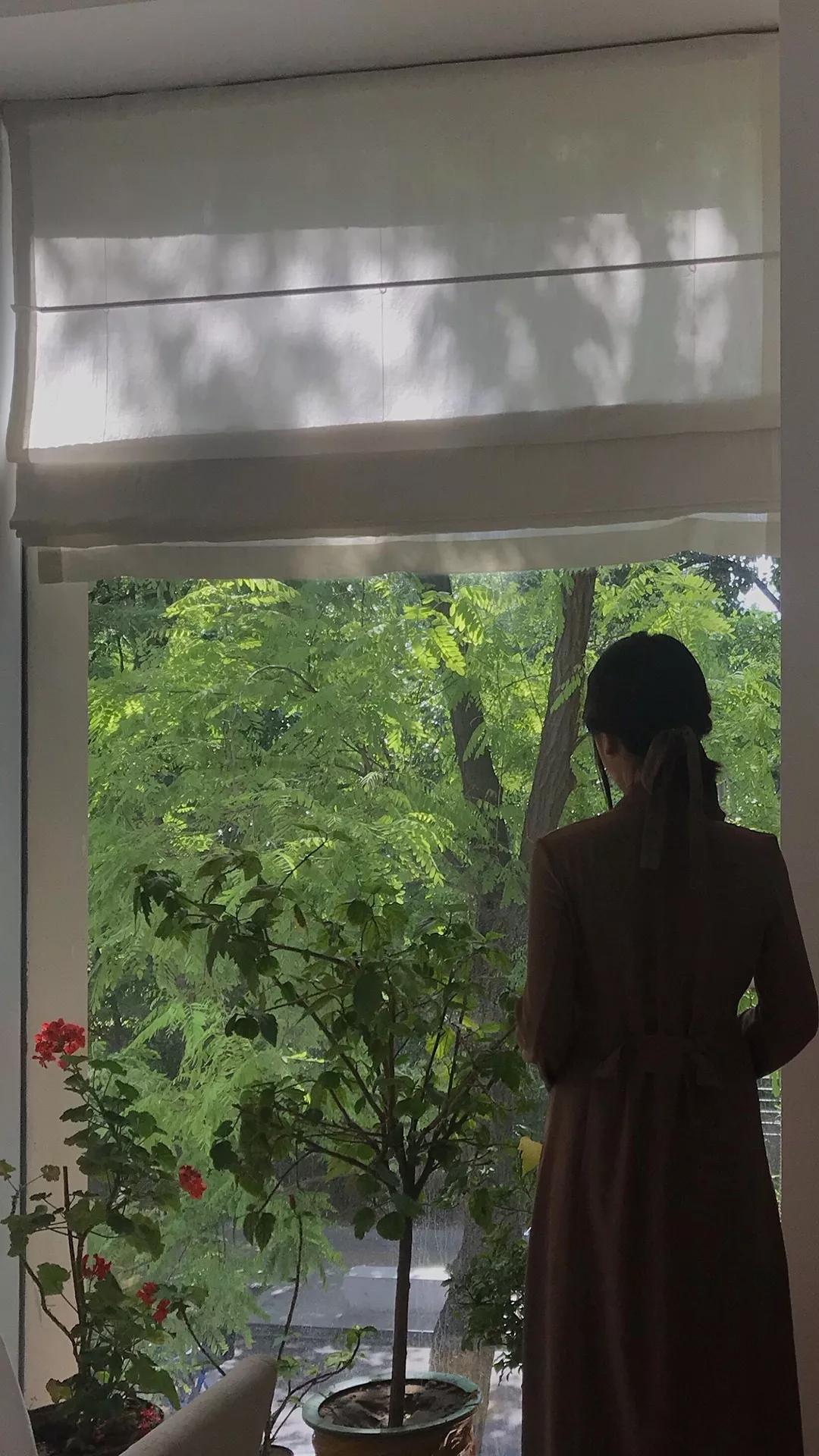 什么颜色的壁纸保护眼睛,保护眼睛的绿色壁纸唯美高清