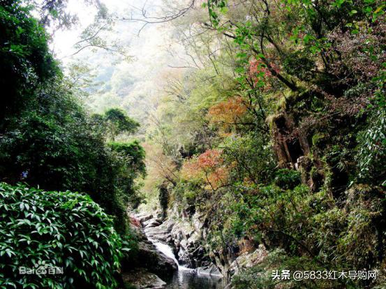 印尼黑酸枝红木家具价格表,红木家具黑酸枝简约风格