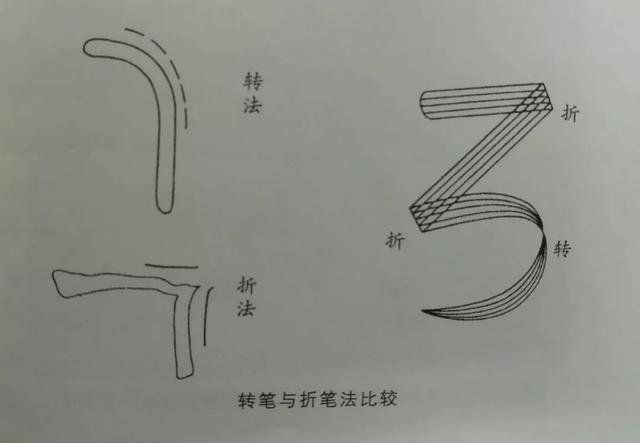 先把基础知识学好,先把基础练好再练技术动作