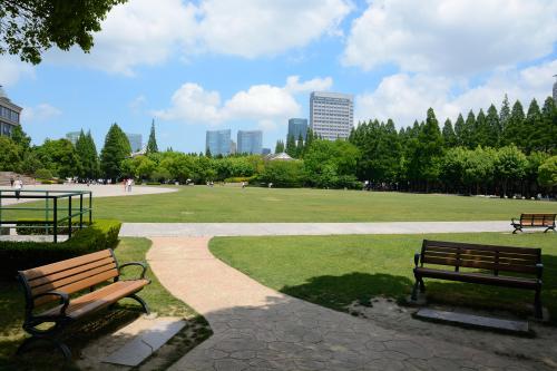 全国理工类高校100强,北师大全国大学排名