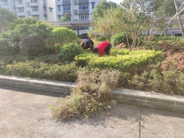 逃学9日，一招制服，还让他痛呼要读书！遇到逃学，家长这样做