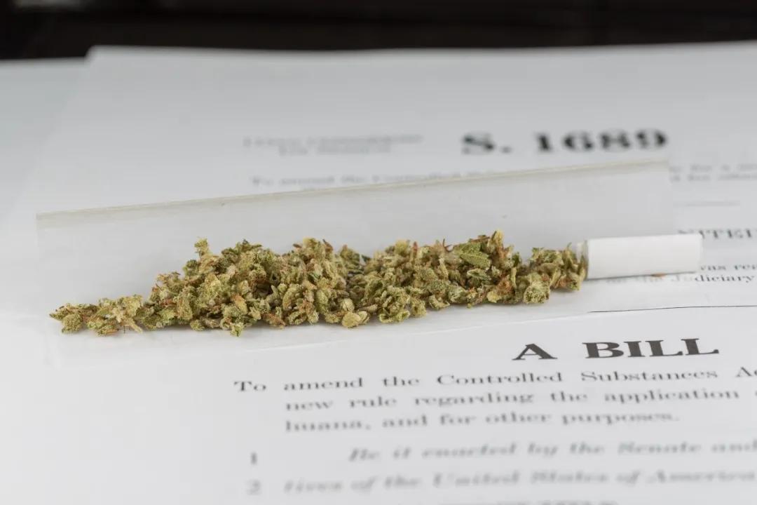 美国刚公布*麻大**全面合法化草案：*麻大**秒变“保健品”！留学生须知