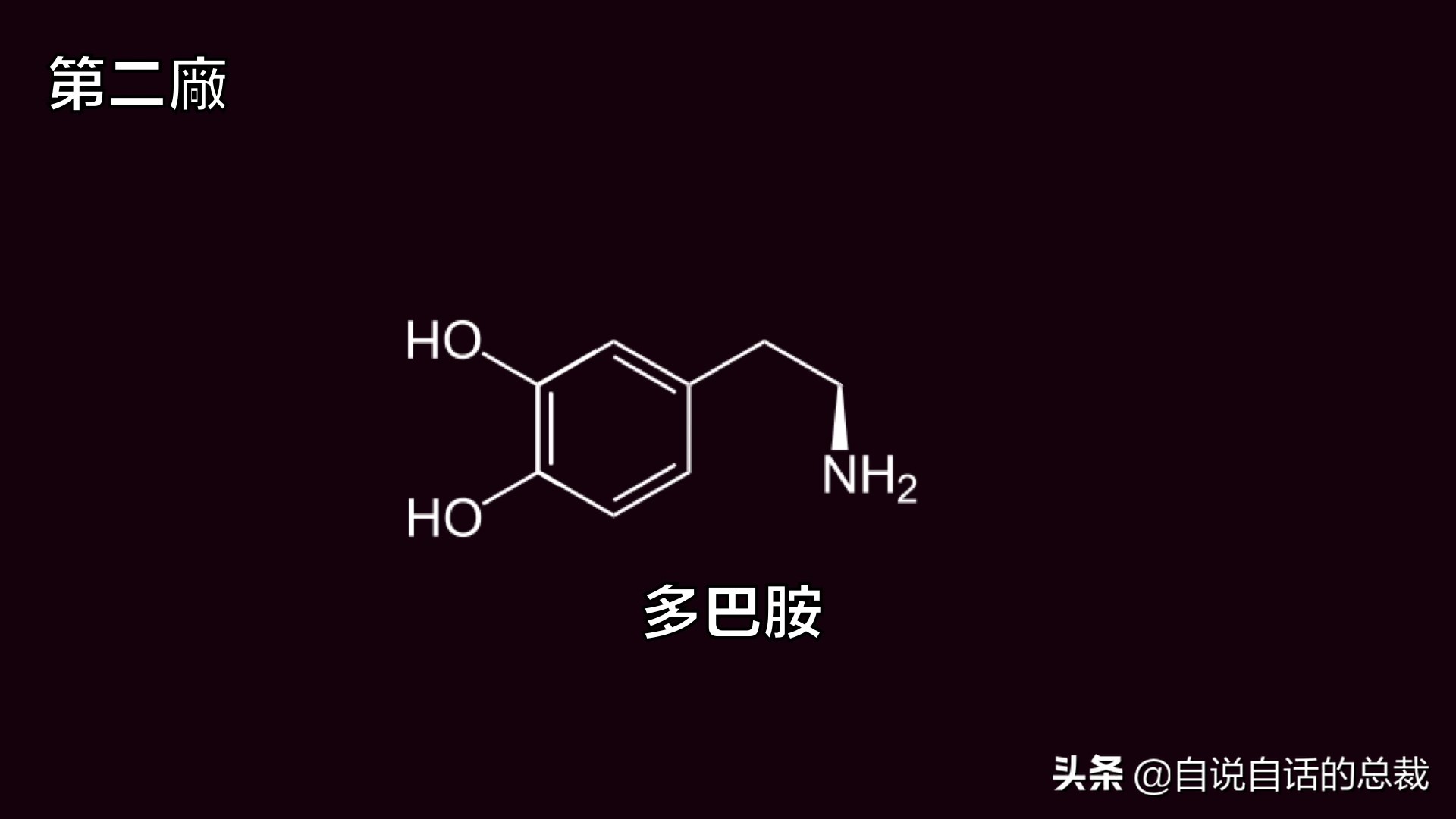 全世界的柠檬都读Lemon？这背后有一个刻在8号染色体上的上古故事