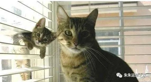 朱朱运营之家：领会PS工具箱中的模糊/锐化/涂抹工具