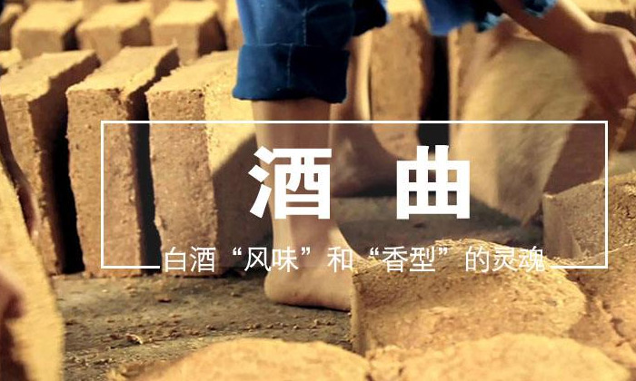 白酒生产技术及疑难问题解决方案,酿酒苦的原因和解决方法